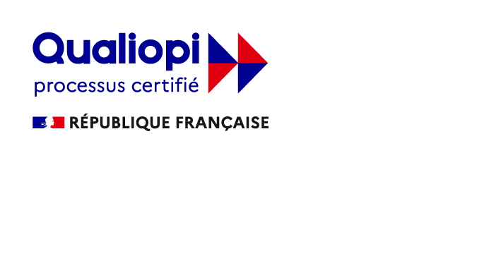 PUBLÉA FORMATION RÉSEAUX SOCIAUX certifiée qualiopi