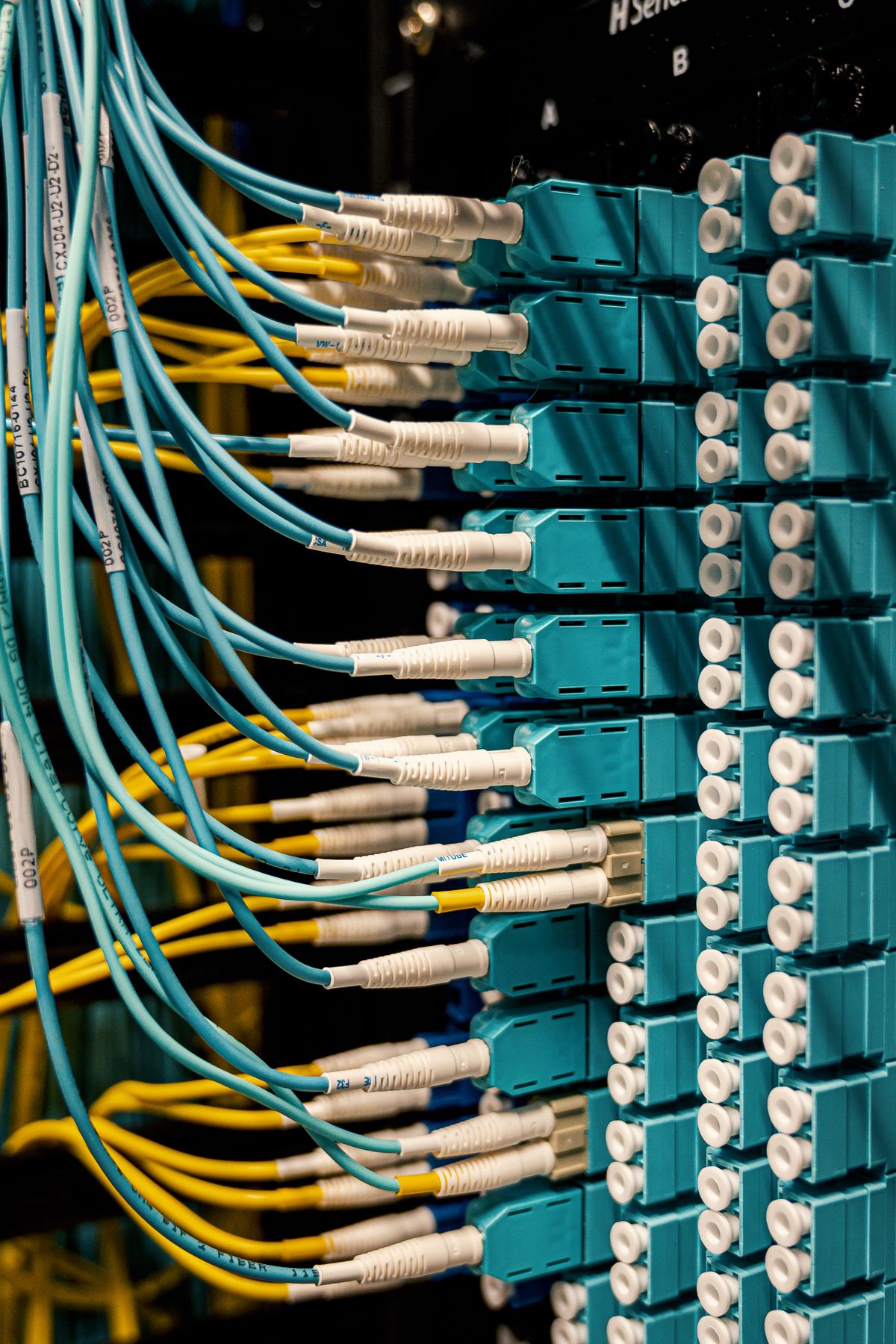 Câbles de fibre optique connectés à un panneau réseau, illustration de l'infrastructure des données